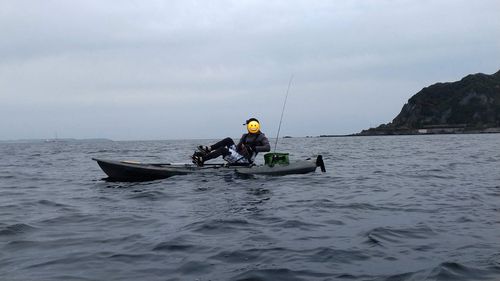 ベラの釣果