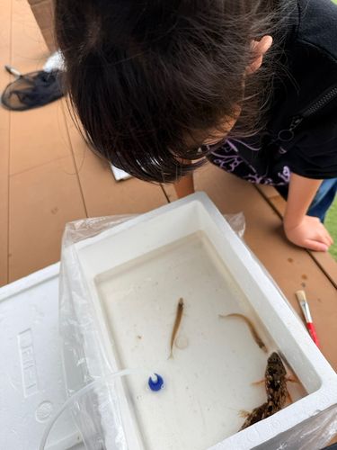 釣果