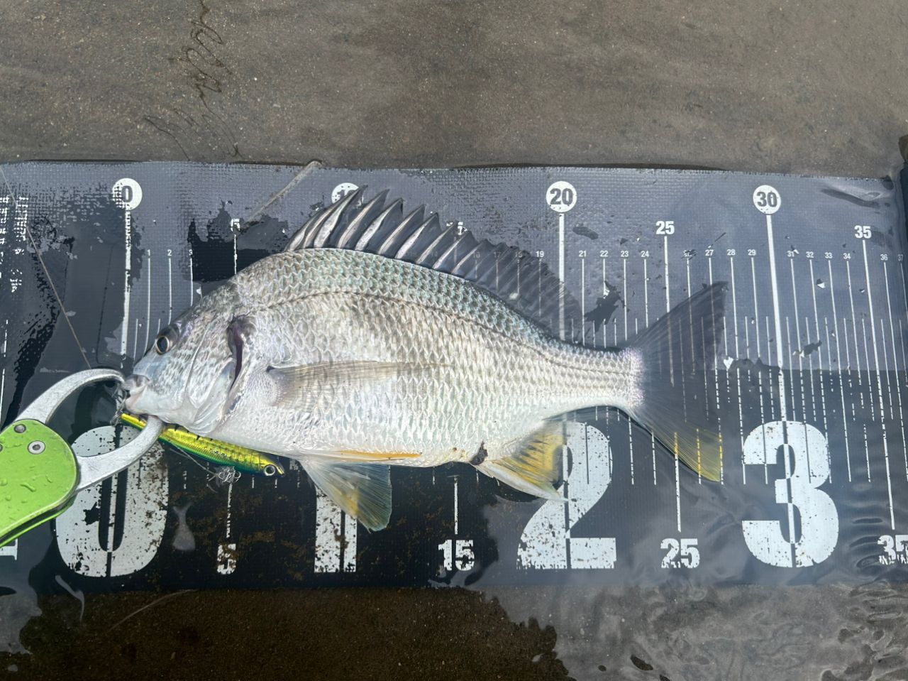 SHIMANO 21コルトスナイパーBB S96MLの最安値・インプレ・釣果 | 本音