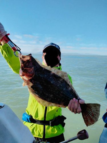 タイの釣果