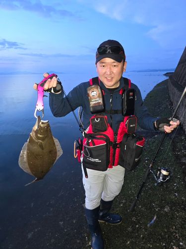 ヒラメの釣果
