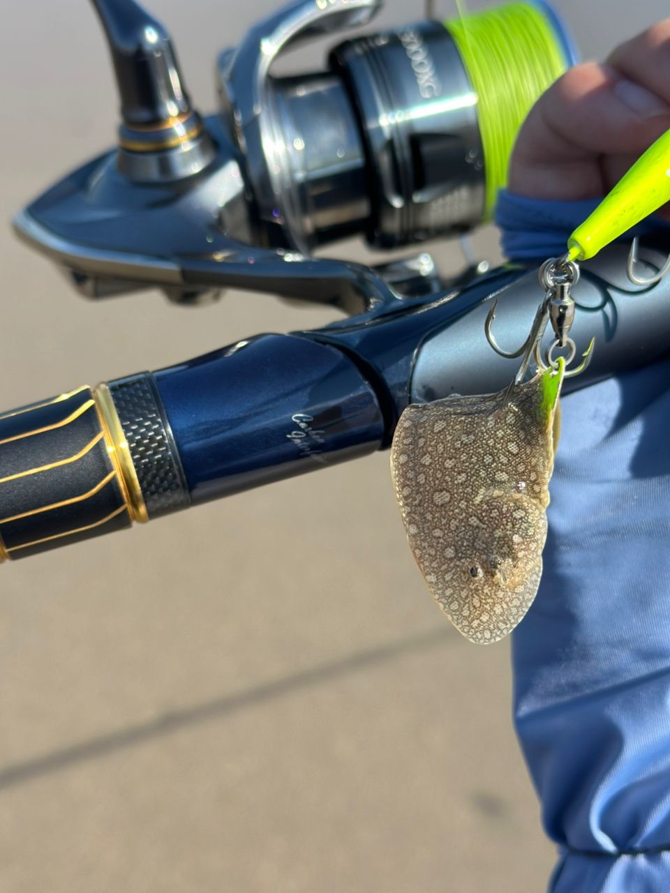 SHIMANO ネッサ リミテッド 2023年モデルの最安値・インプレ・釣果