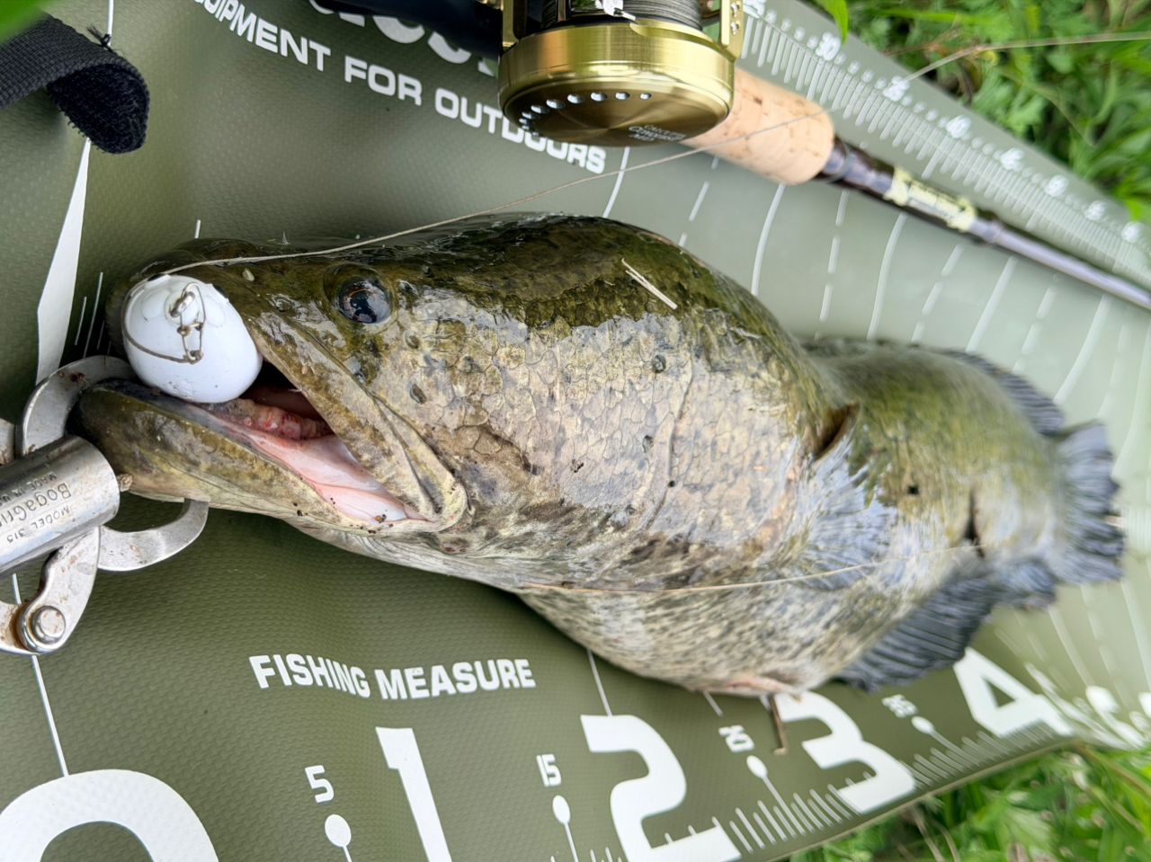 SHIMANO 23カルカッタコンクエスト MD 401XGLHの最安値・インプレ