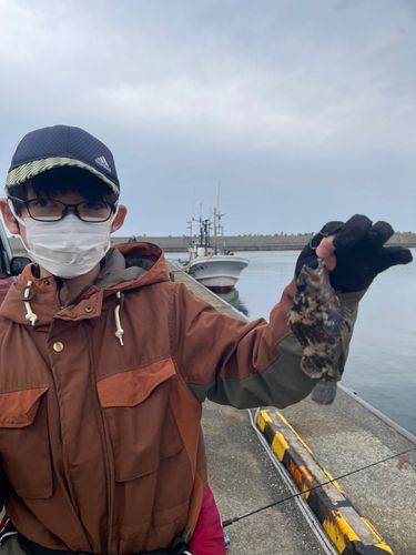 クロソイの釣果