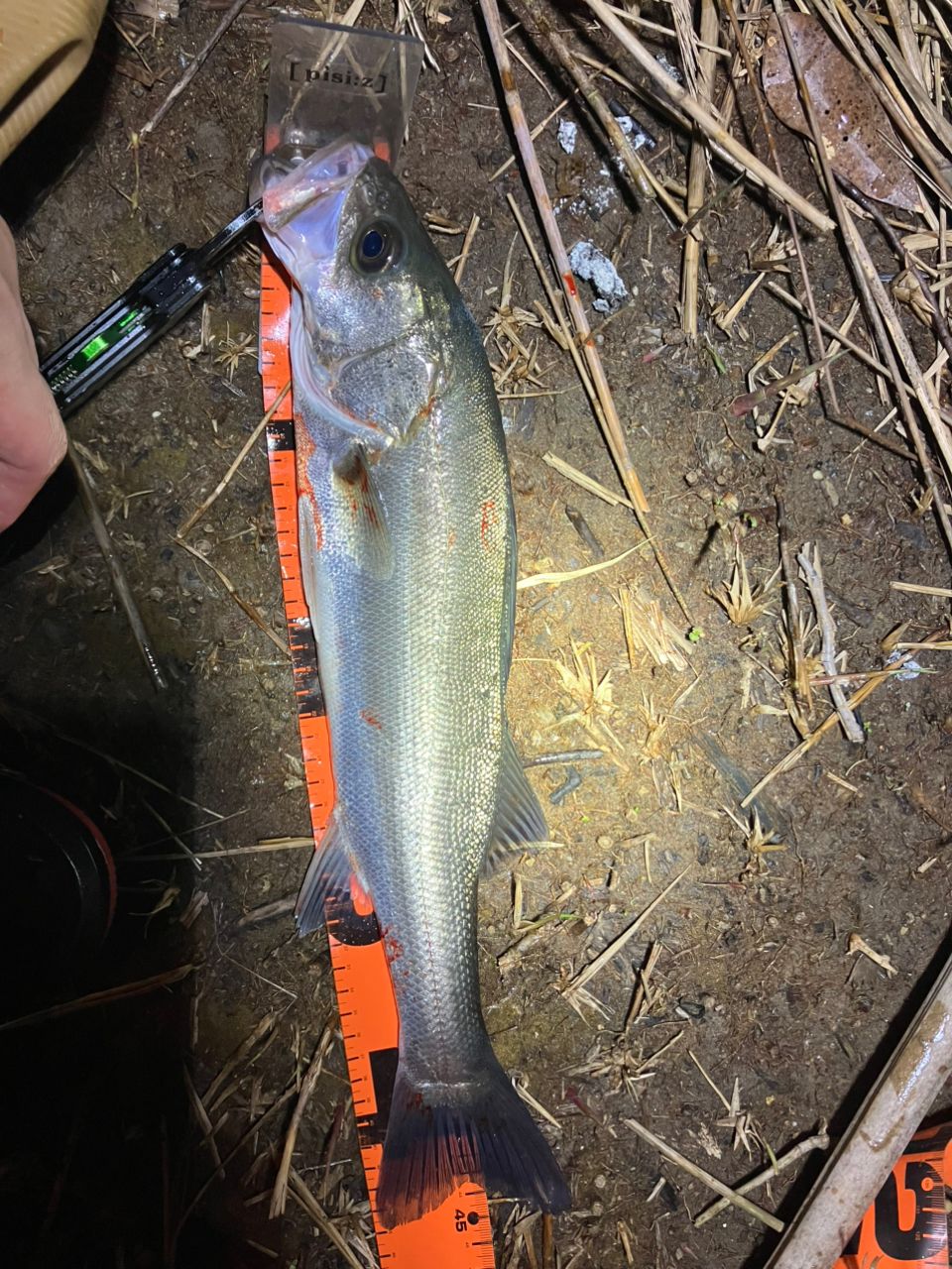 SHIMANO 18ディアルーナ S100MLの最安値・インプレ・釣果 | 本音の
