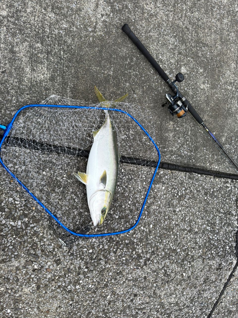 SHIMANO 21コルトスナイパーBB S96MHの最安値・インプレ・釣果 | 本音