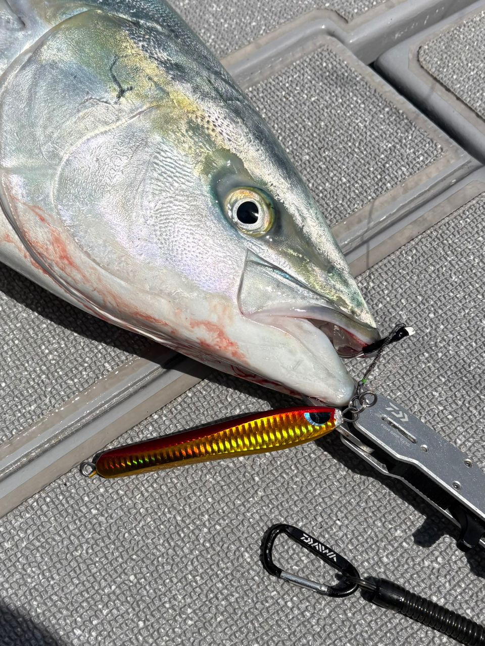 SHIMANO 19グラップラー タイプJ スピニング S60-3の最安値・インプレ