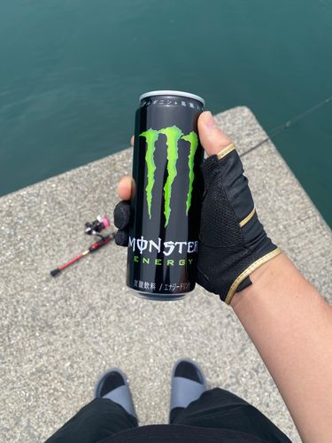 ベラの釣果