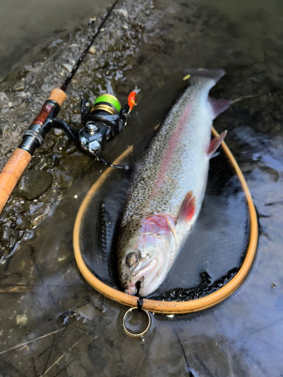 Fish come trueさんの2026年04月26日(日)の釣行(長野県 - 犀川（長野