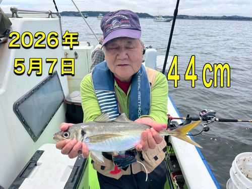 マアジの釣果