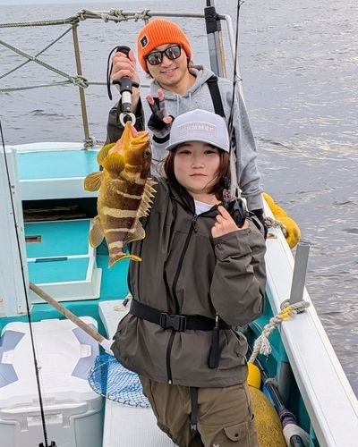 アオハタの釣果