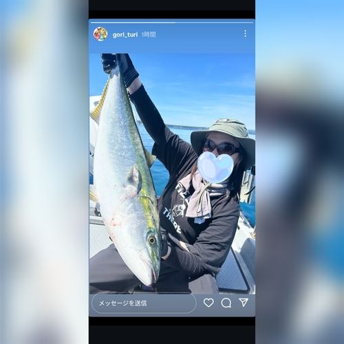 ブリの釣果