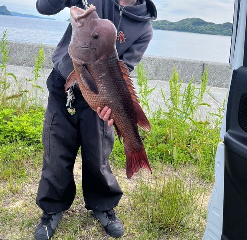 釣果