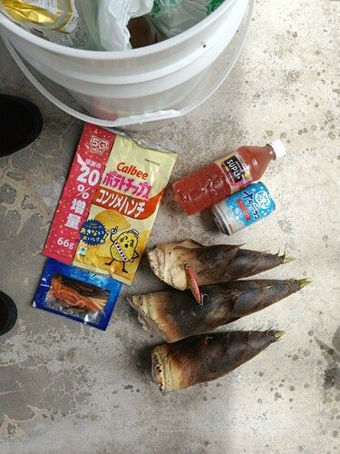 コズクラの釣果