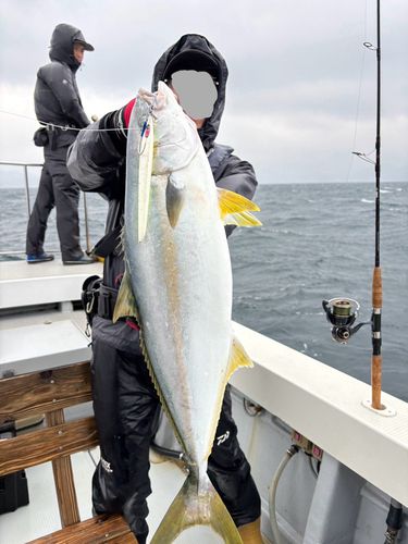 ヒラマサの釣果