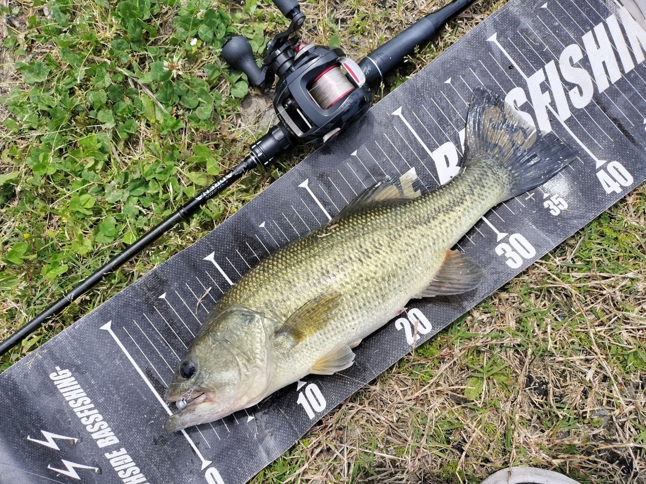 SHIMANO 18ポイズン アドレナ 166ML-2の最安値・インプレ・釣果 | 本音