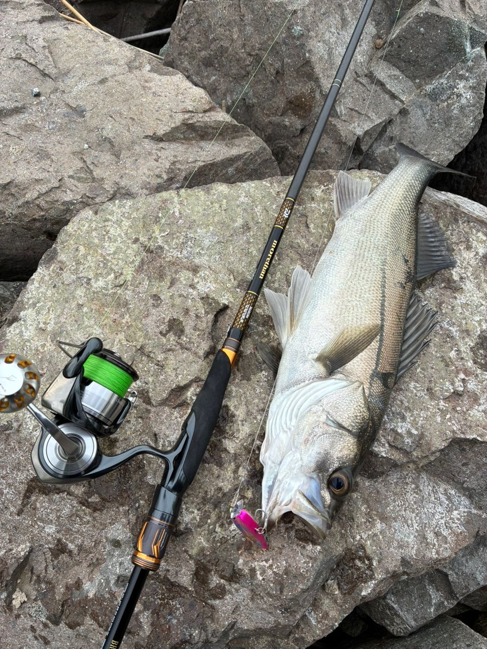 DAIWA 21モアザン ブランジーノ EX AGS 97ML/Mの最安値・インプレ