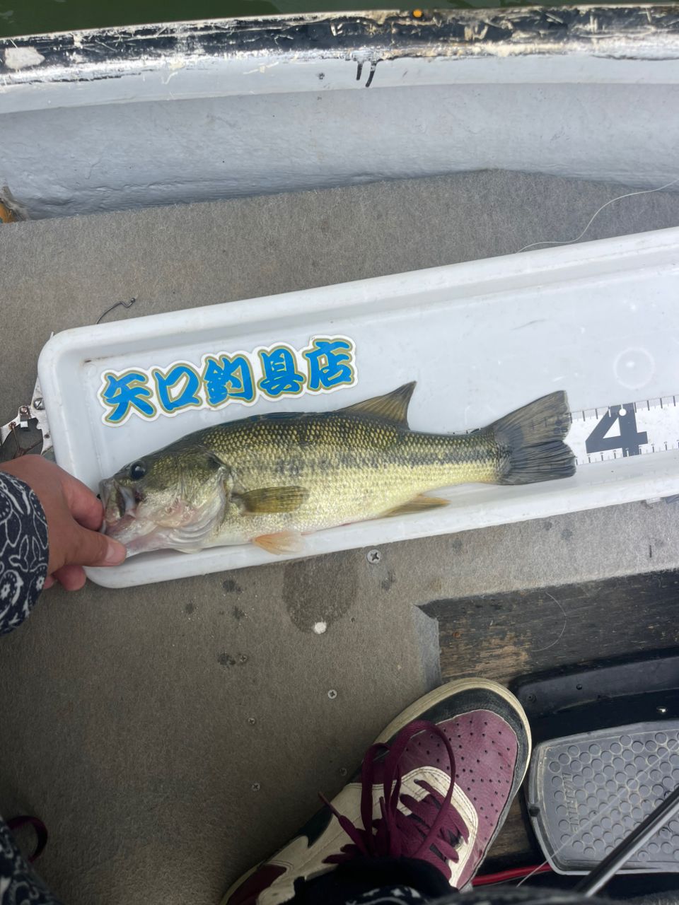アングラー03827518さんの2026年05月06日(水)の釣行(神奈川県 - 鐘ヶ淵