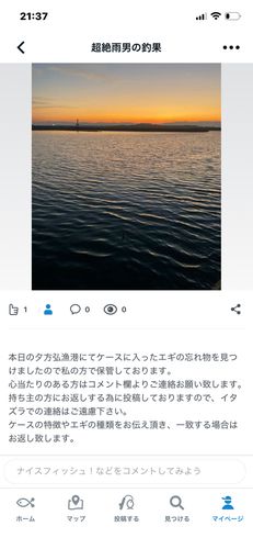 アオリイカの釣果