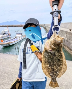 ヒラメの釣果
