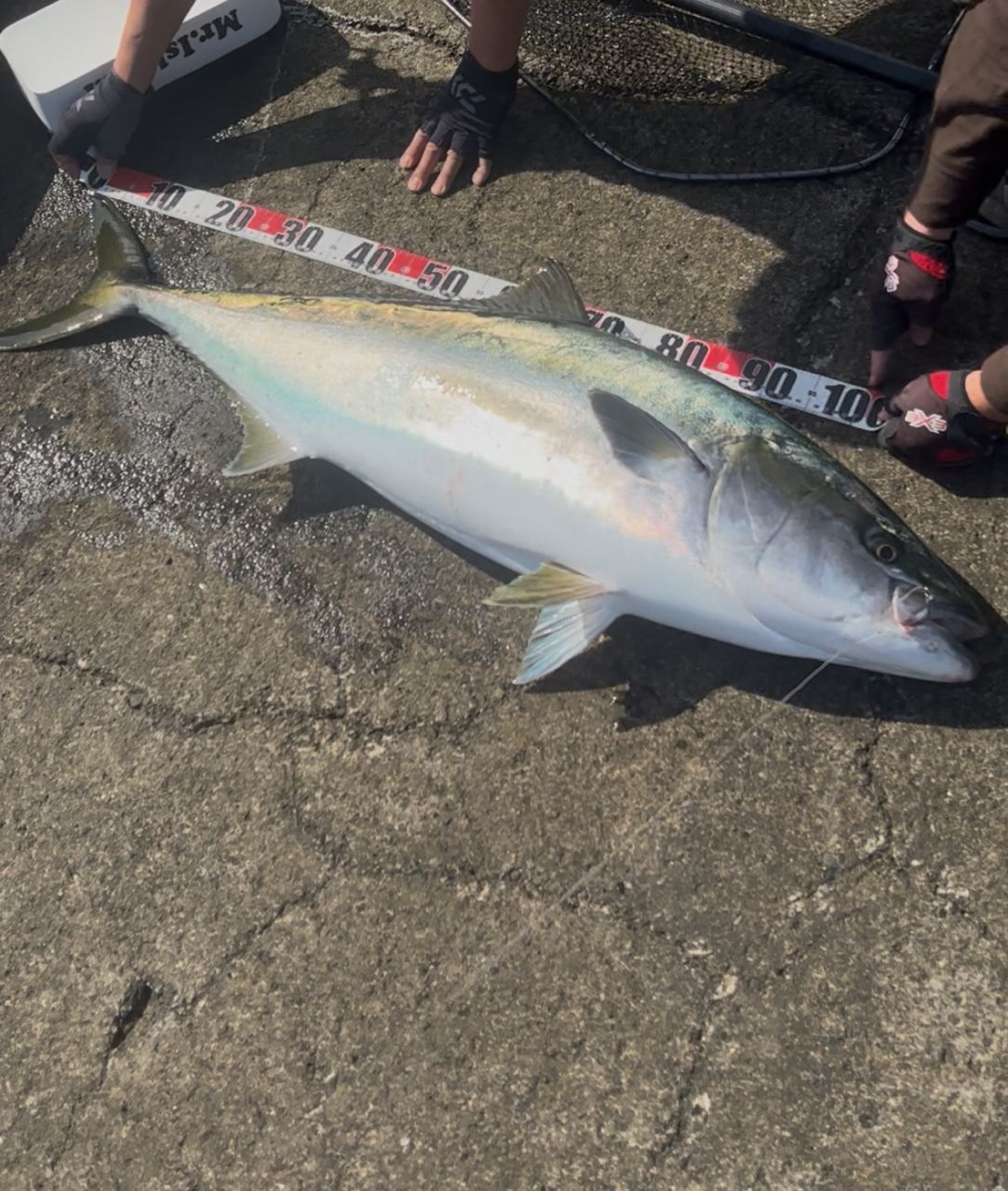 SHIMANO 21レマーレ BG H475の最安値・インプレ・釣果 | 本音の口コミ