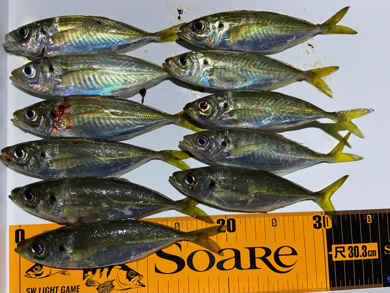 Major Craft 鯵道5G AD5-S502L/AJI AD5-S502L/AJI 鯵道5G アジング | ロッド,5Gシリーズ,鯵道5G,アジング