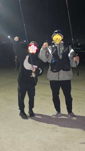 ギンポの釣果