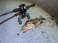 DAIWA 21HRF® (ハードロックフィッシュ) エア 610ML/MB・Nの最安値 