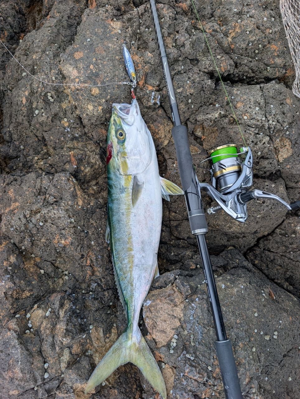 SHIMANO 18ディアルーナ S96ML SHIMANO 18ディアルーナ S96MLの最安値・インプレ・釣果 | 本音の