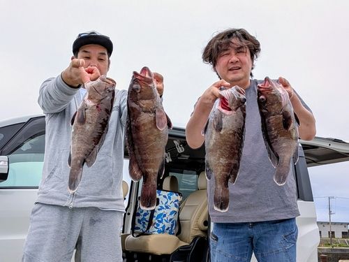 マハタの釣果