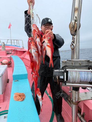 キンメダイの釣果