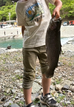 ニジマスの釣果