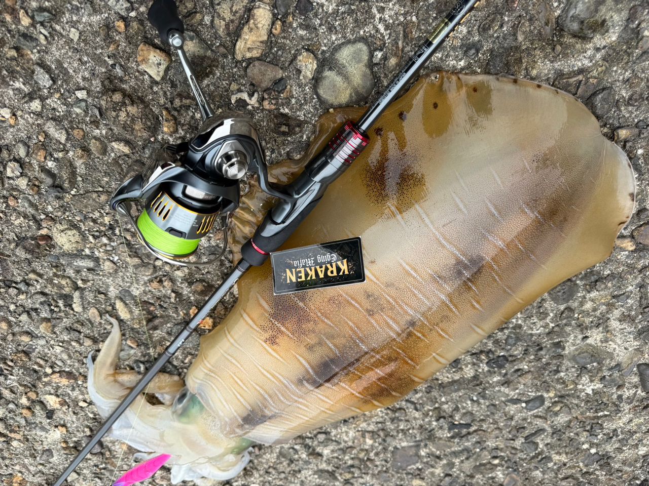 DAIWA 22エメラルダス ストイスト RT IL 79MMHの最安値・インプレ