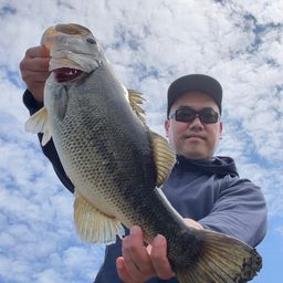 tm_angler さんの 2026年05月07日のブラックバスの釣り・釣果情報(京都