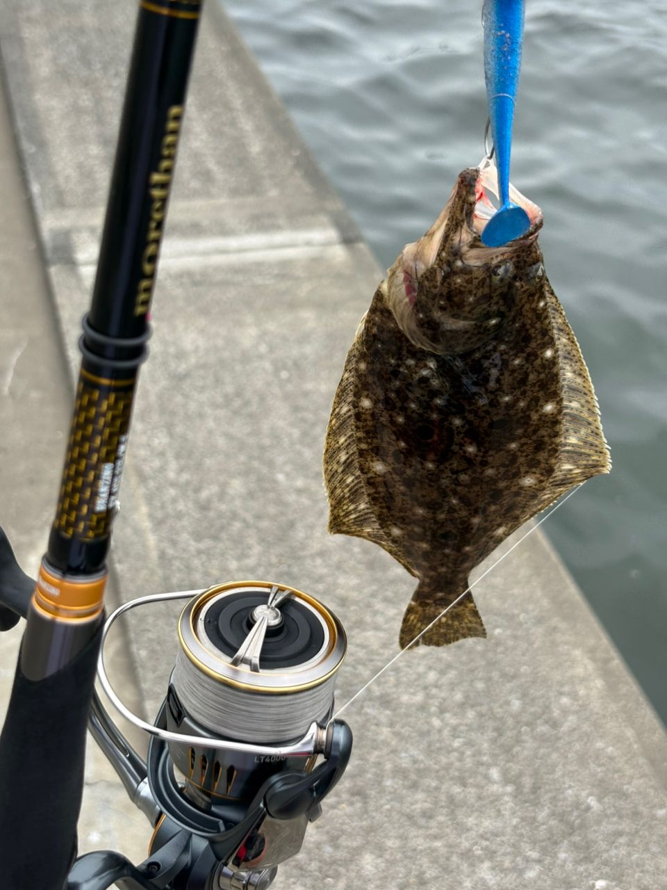 DAIWA 21モアザン ブランジーノ EX AGS 93L/M-Sの最安値・インプレ