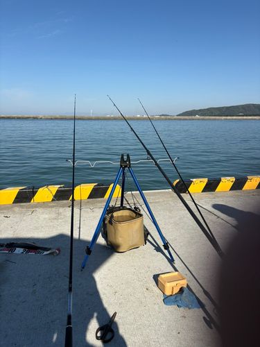 釣果