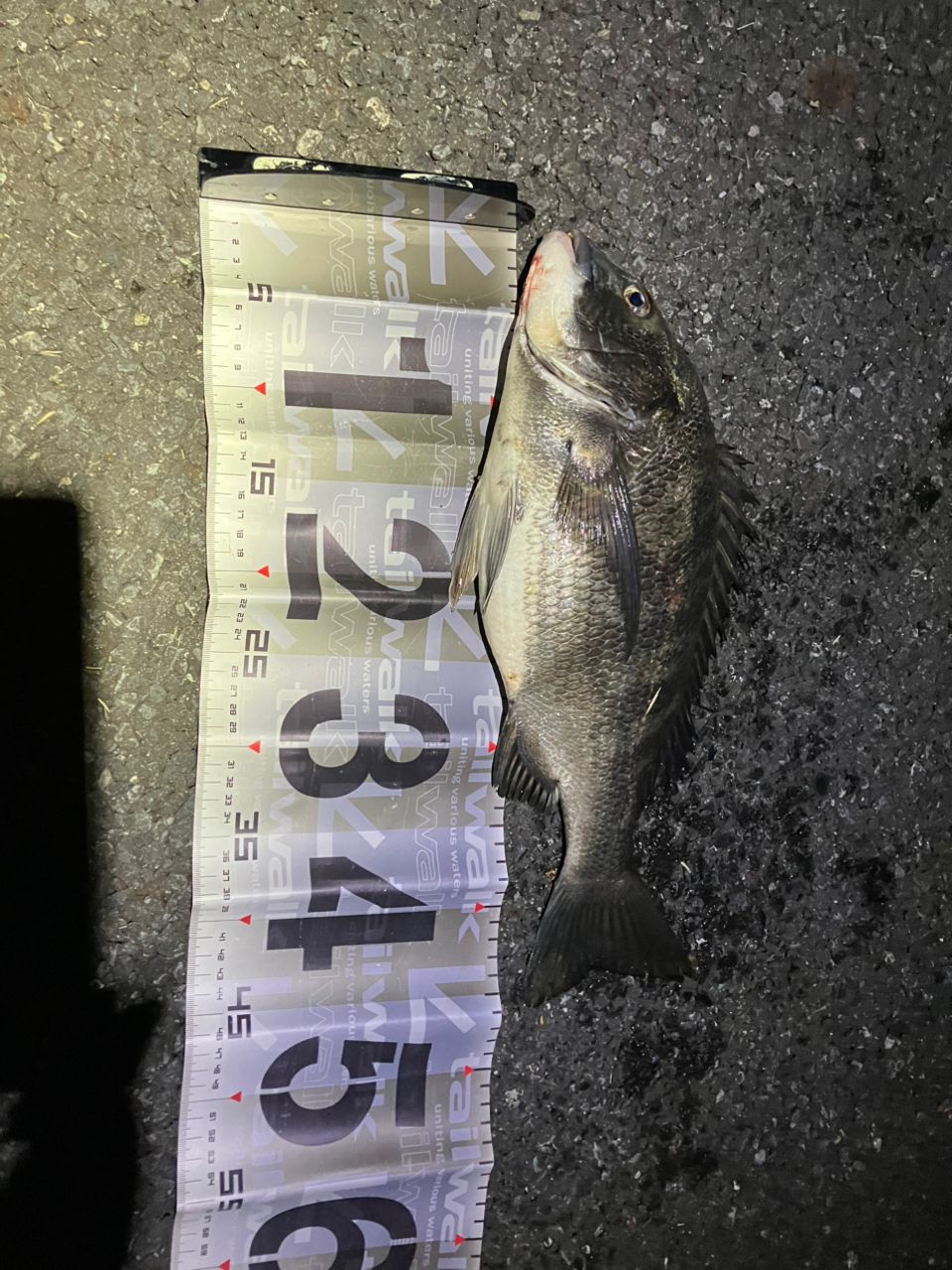 DAIWA 21ラブラックス AGS 100MLの最安値・インプレ・釣果 | 本音の