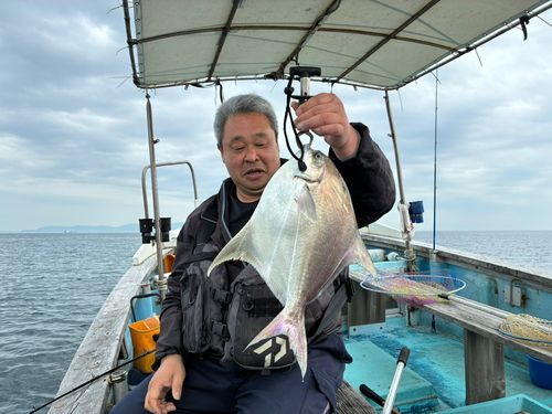 メジロの釣果