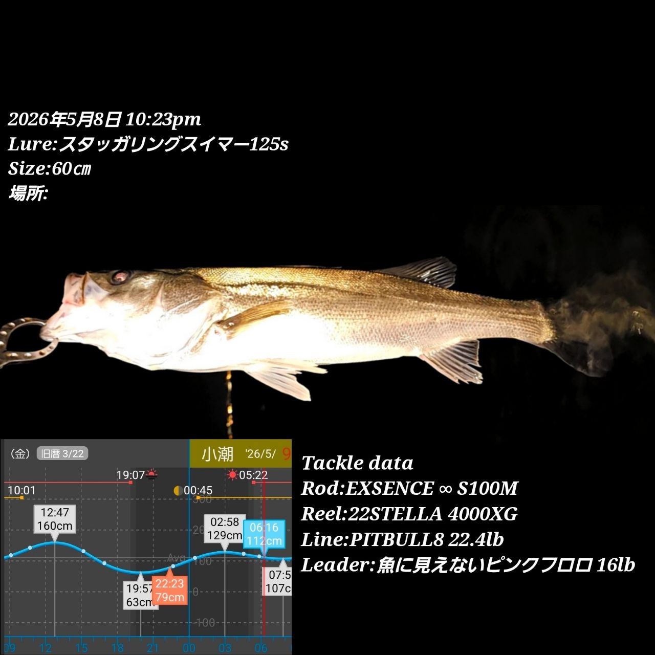 SHIMANO 22エクスセンス ∞ (インフィニティ) S100Mの最安値・インプレ