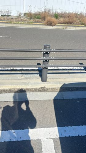 イナダの釣果