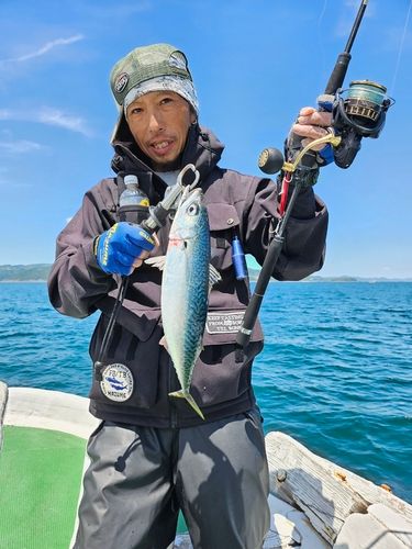 サバの釣果