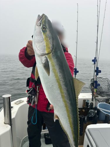 ワラサの釣果