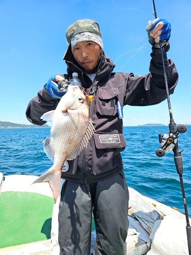 マダイの釣果