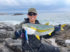 ヒラマサの釣果