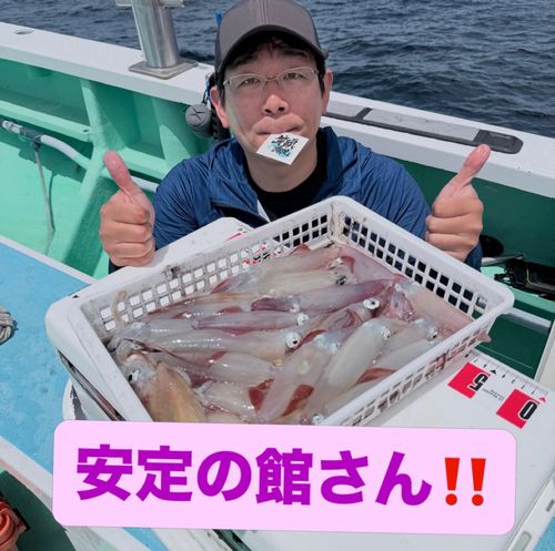 マルイカの釣果