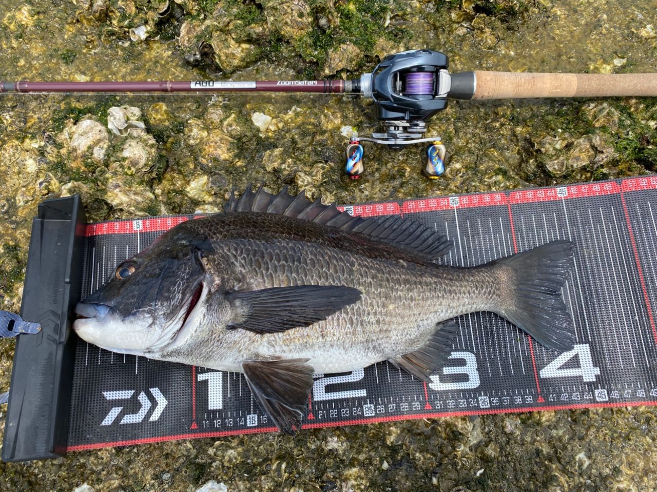 AbuGarcia ズームサファリ ZMSC-665Mの最安値・インプレ・釣果 | 本音