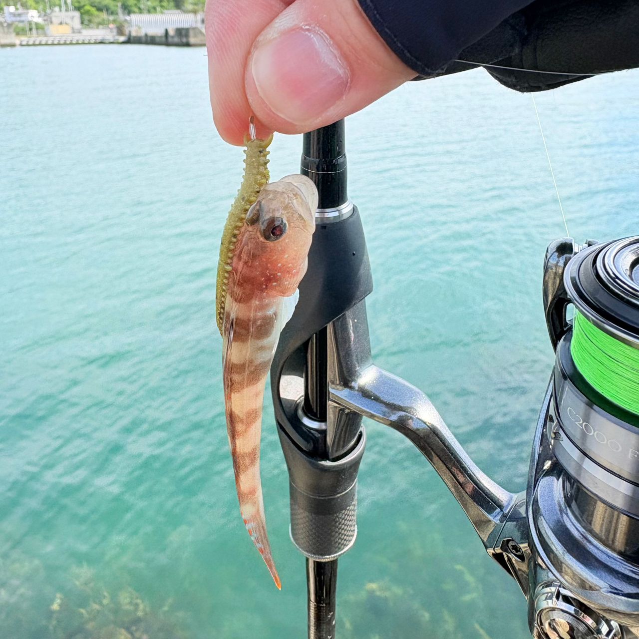 SHIMANO 17ボーダレス ショートスペック 180L-Tの最安値・インプレ