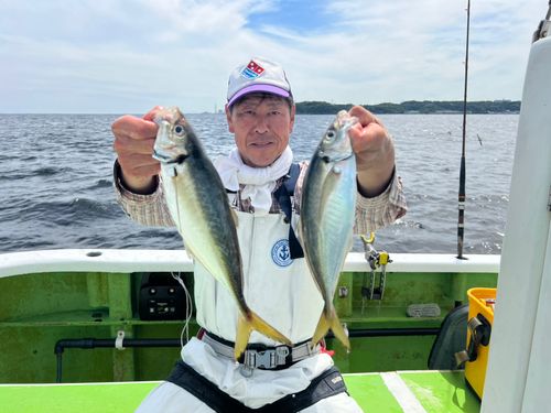 マアジの釣果