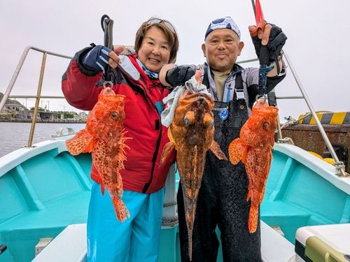 オニカサゴの釣果