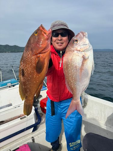 オオモンハタの釣果